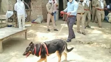 Photo of लंभुआ में चाकू से गोदकर युवती की हत्या