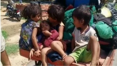 Photo of मजबूर मजदूर: ठेले पर सवार होकर पंजाब से 1100 KM दूर श्रावस्ती पहुंचा परिवार