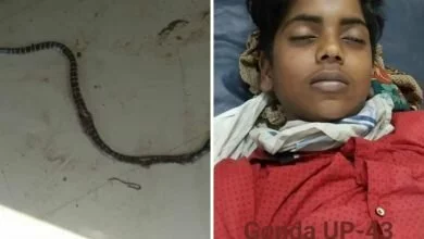 Photo of गोंडा, स्कूल में कोरनटाइन 16 साल के लड़के कि सांप काटने से हुई मौत,